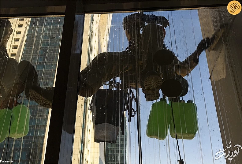 (تصاویر) «مردان عنکبوتی» شیشه پاککن آسمان خراشهای قطر